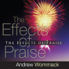 The Effects Of Praise