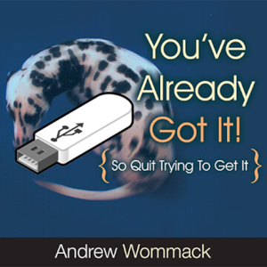 You've Already Got It! - USB