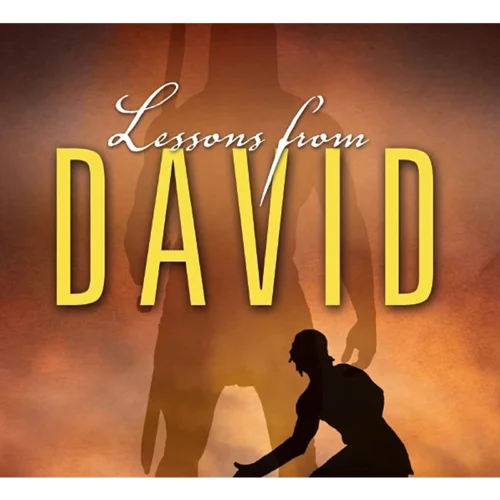 1041V Lessons From David
