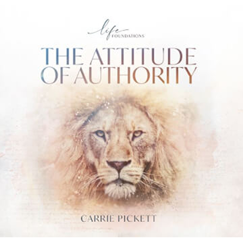 The Attitude of Authority – CD Album