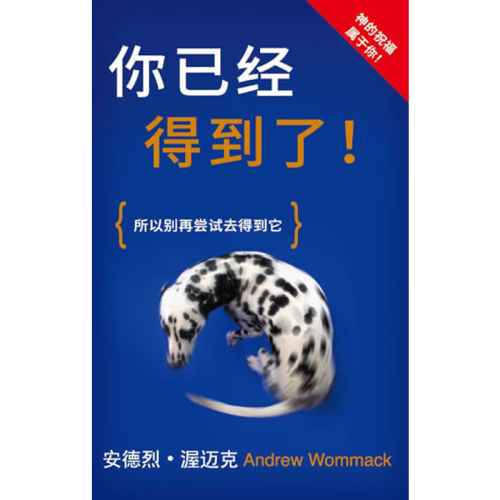 你已经得到了! - You've Already Got It! - Book (Chinese Simplified)