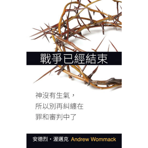 战争已经结束 - Book (PDF Digital Download) (Chinese Simplified)