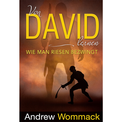 Von David lernen - Lessons From David - Book (German)