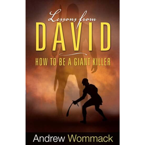 Давид: уроки жизни - Lessons From David - Book (Russian)