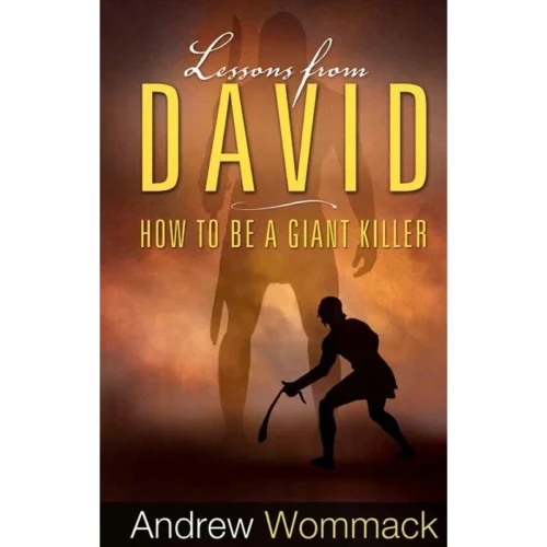 339E Lessons From David - Book (PDF Digital Download)