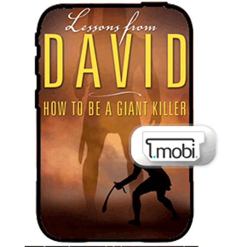 Lessons From David - Book (MOBI)