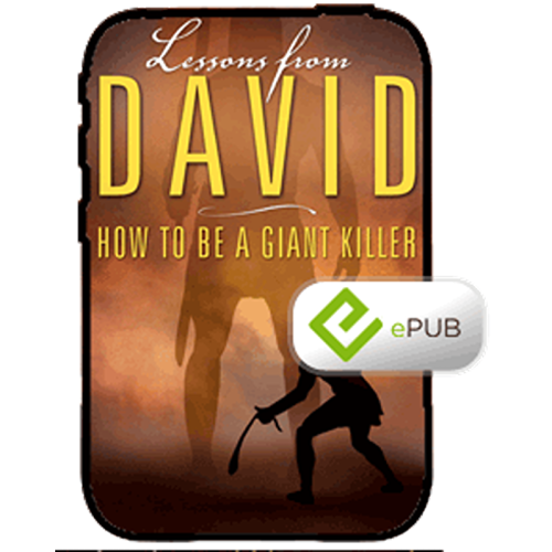 339EP Lessons From David - Book (ePUB)