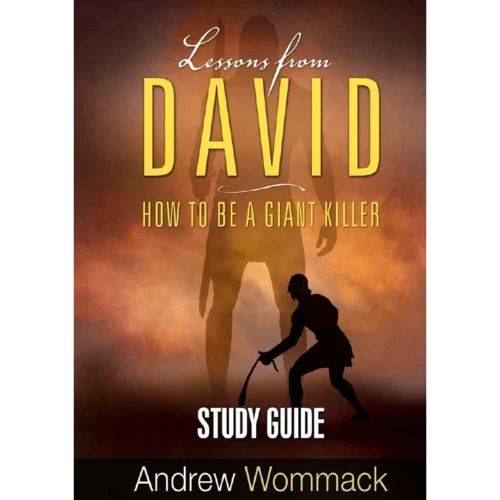 439E Lessons From David - Study Guide (PDF Digital Download)