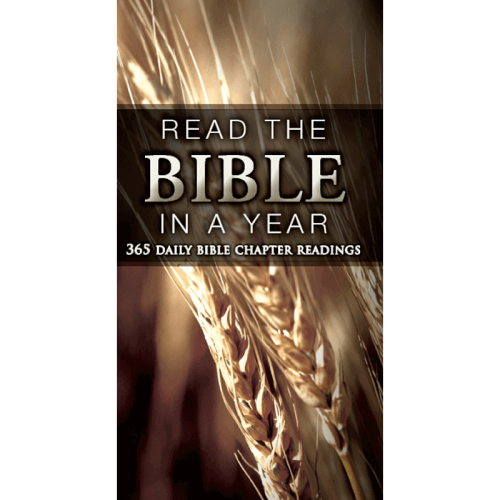 Read The Bible In A Year Brochure (PDF Digital Download)