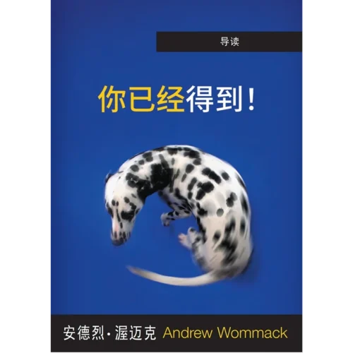 你已经得到！(导读）- Booklet (PDF Digital Download) (Chinese Simplified)