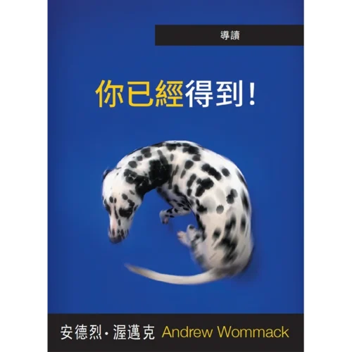 你已經得到！(導讀）- Introduction to You've Already Got It - Booklet (Chinese Traditional)