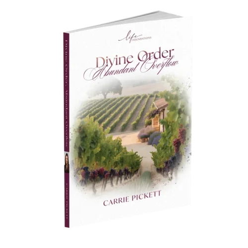 Divine Order, Abundant Overflow - Book