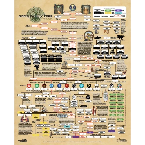 8384 God’s Family Tree: From Adam to David