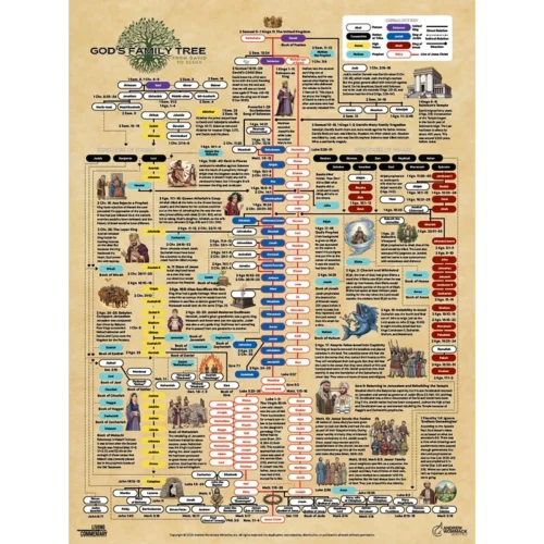 8385 God’s Family Tree: From David to Jesus